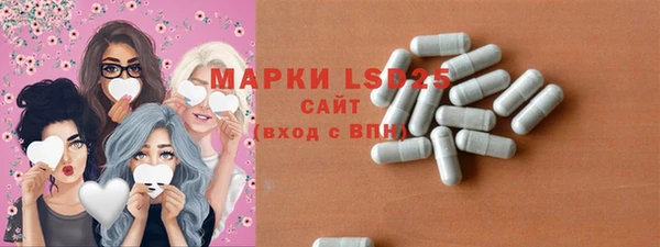 шишки Арсеньев
