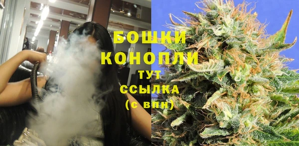 шишки Арсеньев