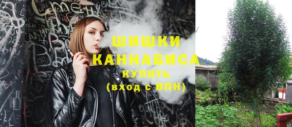 шишки Арсеньев