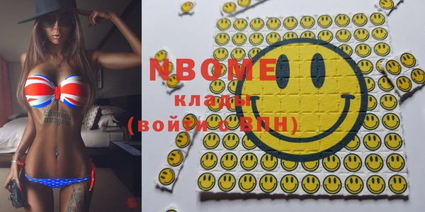 шишки Арсеньев