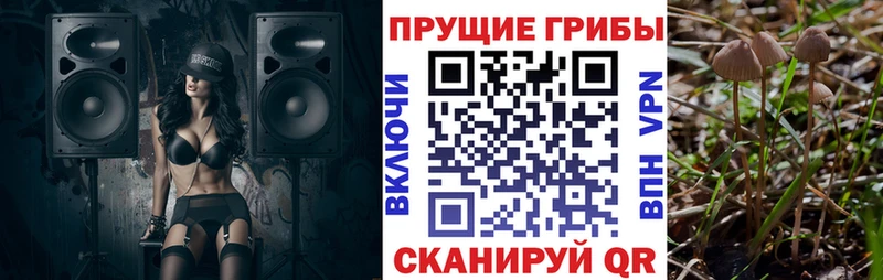 Псилоцибиновые грибы GOLDEN TEACHER  наркота  площадка какой сайт  Мариинск 